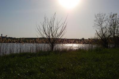 Прикрепленное изображение: 1073r.jpg